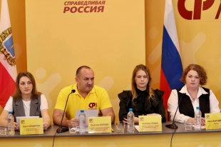 И копейку, и рубль сберегут. Справедливороссы предлагают увеличить зарплаты и ввести 13-ю пенсию