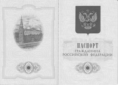 Бумажные паспорта исчезнут к 2030 году. Предъявите чип 