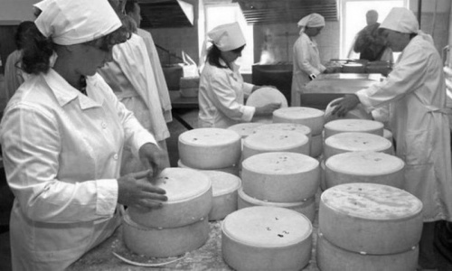Доморощенный пармезан. В России готовы выпускать аналоги французских и итальянских сыров