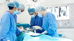 В области готовятся к операции по пересадке сердца