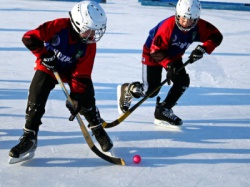 В Саратове впервые прошел этап Всероссийских соревнований по хоккею с мячом