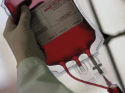 Новый модуль для службы крови построят к октябрю