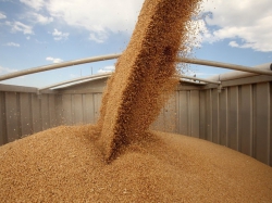 Саратовская область продала за границу 745 тысяч тонн зерна