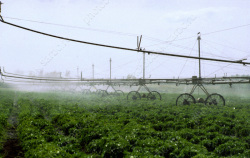 Водопровод в Саратовской области вошел в госпрограмму развития мелиорации