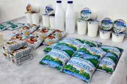 Саратовская область - лидер по падению производства молока