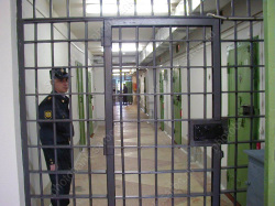 Наркоман из Азербайджана осужден за насилие над 8-летней девочкой