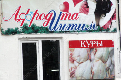 Курятина в Саратовской области дороже, чем в среднем по России
