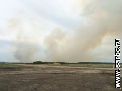 Более сотни человек борются с лесным пожаром под Саратовом