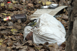 Блогеры очистят от мусора склон у Кумысной поляны