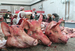 Жителям села выплачено 2,9 млн за изъятых из-за АЧС свиней