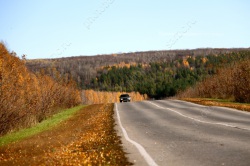 В Саратовской области может начаться ремонт федеральных дорог