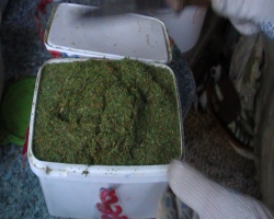 63-летний гражданин хранил дома 5,7 кг марихуаны