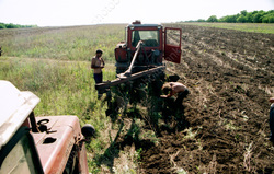 Глава поселения незаконно передал фермеру 1,2 тысячи га земли