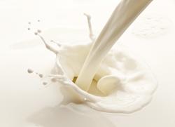 В молоке найдены немолочные жиры
