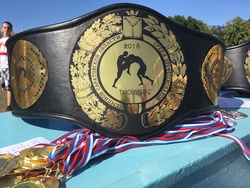 Разыграны титулы чемпиона области по панкратиону, тайскому боксу и рукопашному бою
