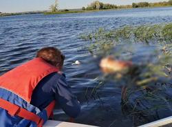Найдено тело четвертого рыбака из перевернувшейся у Саратовской ГЭС лодки