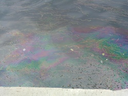 Спасатели ликвидировали нефтяное пятно у новой набережной