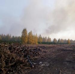 Из-за лесного пожара еще в одном районе объявлен режим ЧС