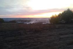 В Лысогорском районе из-за лесного пожара введен режим ЧС
