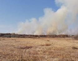 Лесной пожар в Екатериновском районе локализован