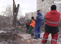 Для стелы "Город трудовой доблести" пилят деревья в сквере