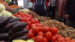 В Саратове будут торговать овощами на "краткосрочных" ярмарках