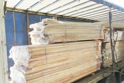 Предотвращен незаконный вывоз за границу ценной древесины