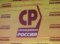 Чеботарева согласовали на пост главы реготделения "Справедливой России"