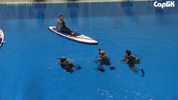 Во Дворце водных видов спорта открылись секции дайвинга и сап-йоги