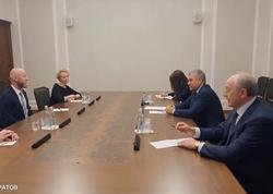 Володин и Радаев встретились в Москве с представителями IKEA