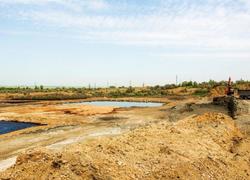 Местный НИИ оценит ущерб землям от свалки "Экороса"