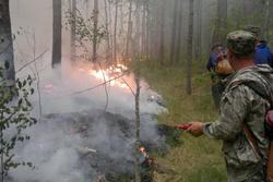 В Вольском районе ищут виновника лесного пожара