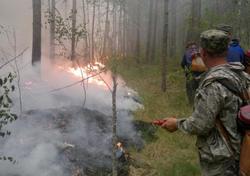 В области произошли 3 лесных пожара