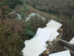 Зафиксирован сброс мусора на территории Кумысной поляны