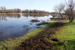 Около трети водных объектов области считаются грязными