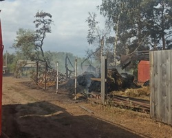 Из-за возгорания травы сгорели две дачи и две машины