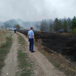 Возгорание на бывшем полигоне привело к лесному пожару