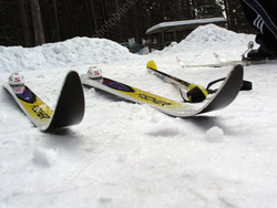 Министерство: в области горными лыжами занимаются 1 323 человека