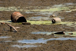 В области зафиксированы случаи высокого и экстремального загрязнения воды