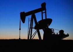 Компания заплатит 300 тысяч за заброшенное месторождение нефти
