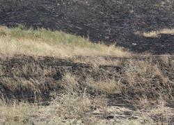 Мужчину оштрафовали на 373 тысячи из-за крупного пожара в Национальном парке