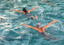 Открыт новый набор детей на бесплатные уроки плавания
