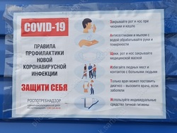COVID-19 за сутки: 458 случаев, только у одного пневмония