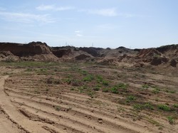 На сельхозугодьях нашли незаконный песчаный карьер
