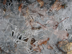 Жителей области предупреждают об опасности заморозков