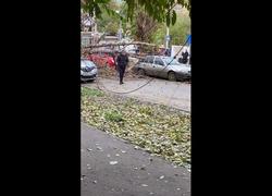 Дерево рухнуло на машины и перекрыло тротуар