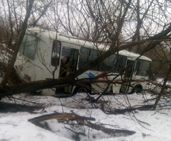 Пассажирский автобус съехал с дороги. Трое пострадали
