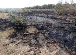 Пожар распространился на гектар по дубовому лесу