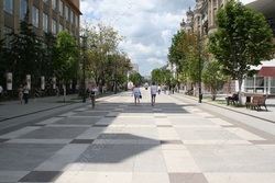Каждое дерево на проспекте Столыпина обойдется бюджету в 70 тысяч