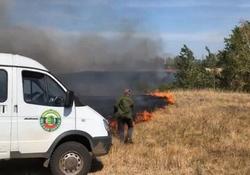 За нарушения пожарного режима в лесах наказаны 12 человек